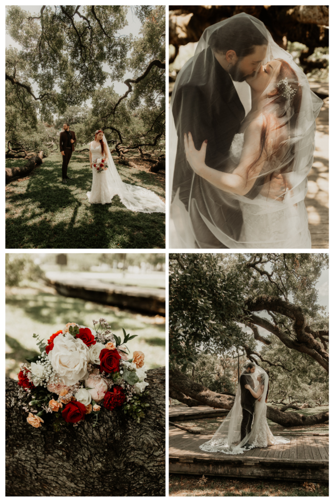 editorial bride and groom portraits under a 200 year oak tree in jacksonville florida