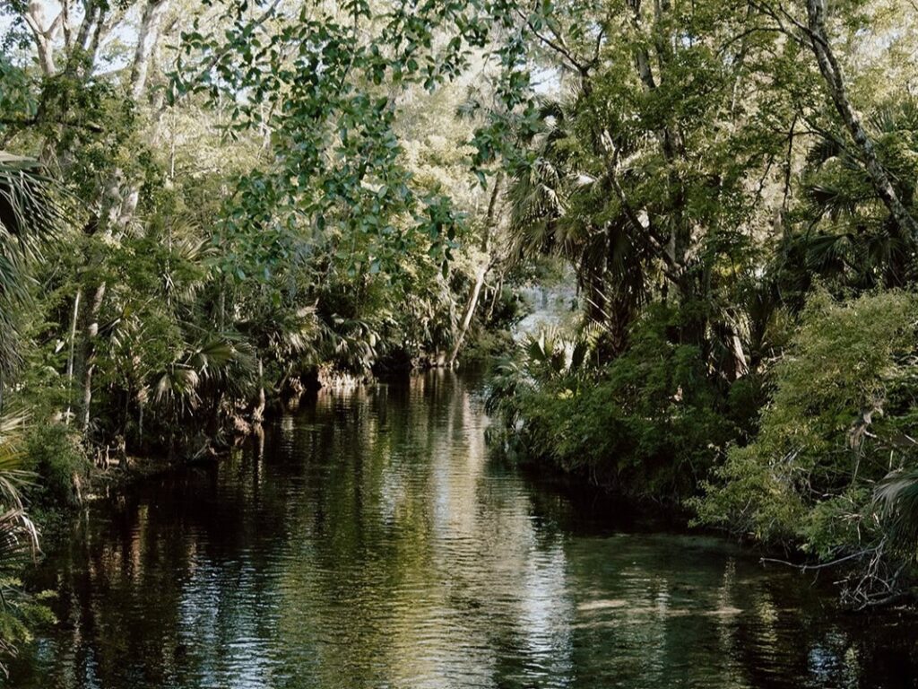 Silver Springs elopement location, the best elopement location in Florida